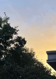 什么东西才能让皮肤代谢快